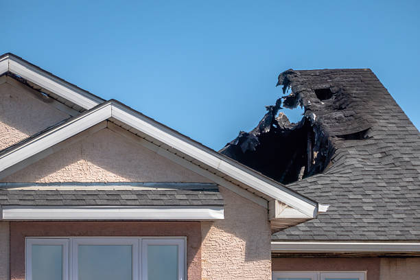Top rated local Odor Removal specialists in Dayton, NJ